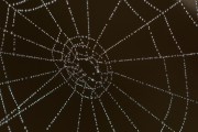 Unity開發(fā)的概述，Unity，創(chuàng)建3D游戲和應(yīng)用程序的強(qiáng)大工具