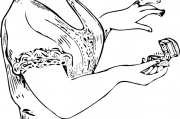 女人夢(mèng)到黑蛇，解讀與解析，女人夢(mèng)到黑蛇，解讀與解析