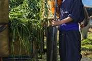 能在掙錢的免費(fèi)農(nóng)場游戲中生存下去嗎？，逃脫農(nóng)地，自由農(nóng)場生存挑戰(zhàn)