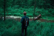 憤怒的小鳥(niǎo)2免費(fèi)游戲，開(kāi)啟你的綠色飛行之旅