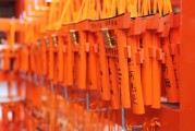 無(wú)門(mén)檻的自由斗地主——游戲單機(jī)斗地主，一人一地一張牌，一鍵玩轉(zhuǎn)無(wú)門(mén)檻的免費(fèi)斗地主游戲