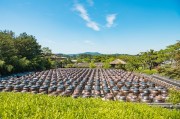 打造空中農(nóng)田，讓夢想照進現(xiàn)實——免費種地游戲的探索與啟示，空中農(nóng)田，挑戰(zhàn)、機遇與啟示——一個免費種地游戲的探討
