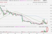 優(yōu)必選放量飆升近30%，正式發(fā)布全新一代工業(yè)人形機器人Walker S1