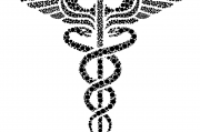 夢(mèng)中的蛇影，解析夢(mèng)到蛇被砍成好幾段的深層含義，夢(mèng)中的蛇影，解析夢(mèng)到蛇被砍成好幾段的深層心理含義