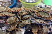 夢(mèng)中奇遇，螃蟹與魚的共舞，夢(mèng)中奇遇，螃蟹與魚的共舞