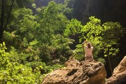 夢(mèng)中尋房，探索未知與內(nèi)心深處的旅程，夢(mèng)中尋房，探索未知與內(nèi)心深處的旅程