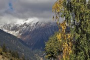 夢(mèng)境中的狂風(fēng)暴雨，一場(chǎng)心靈的洗禮，夢(mèng)境狂風(fēng)暴雨，心靈的洗禮之旅