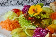 探索美食的樂趣，制作漢堡游戲免費(fèi)下載，漢堡大戰(zhàn)，模擬漢堡制作大師