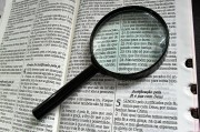 深入解析，如何使用Go語言高效搭建網(wǎng)站，Go語言高效構(gòu)建網(wǎng)站全攻略揭秘