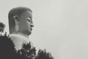 夢中與母親爭吵的反思，夢中與母親爭吵的深度反思