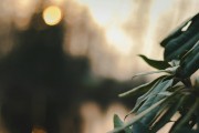 漫漫的ACG之路，尋找和熱愛(ài)的那份樂(lè)趣，ACG之路上，探索與熱愛(ài)的樂(lè)趣