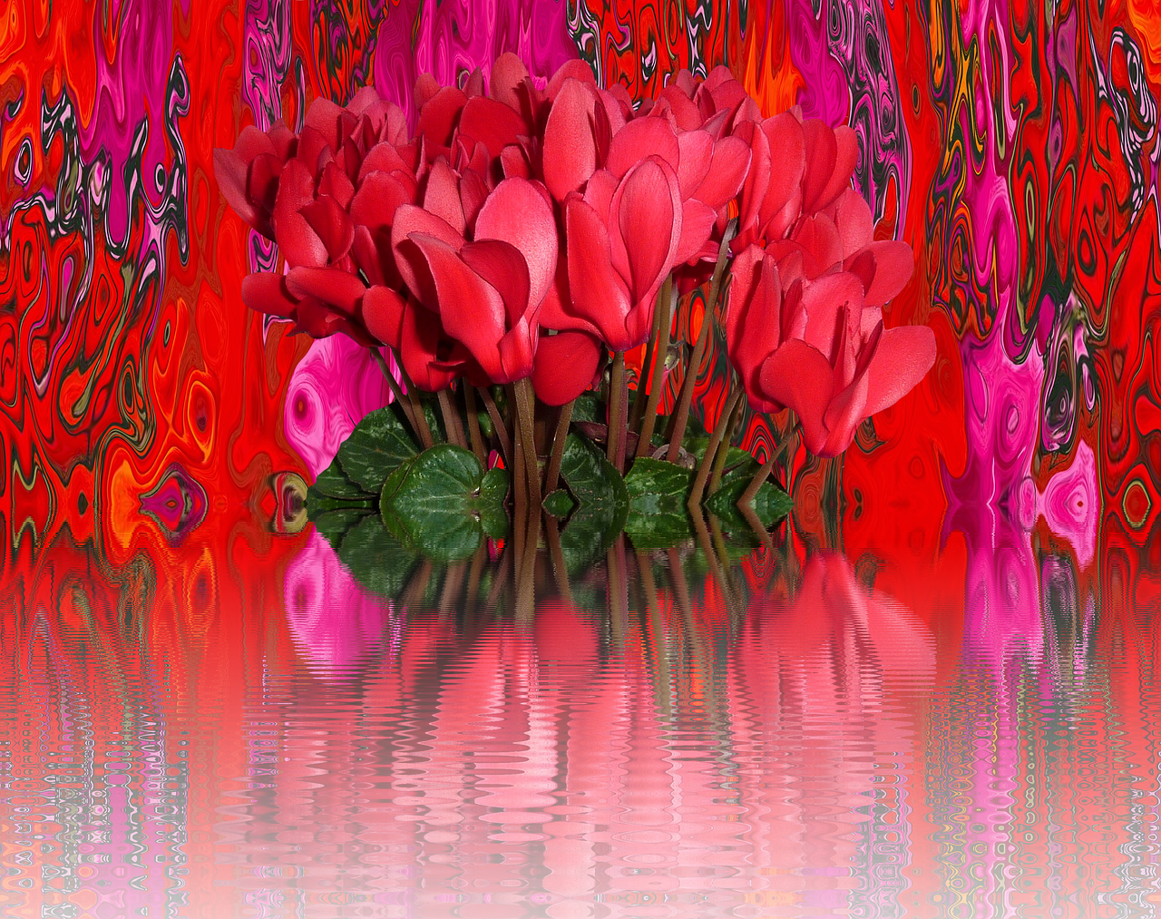 夢(mèng)到花，解讀夢(mèng)境中的花語