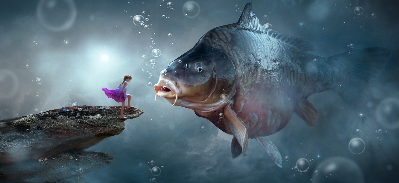 夢(mèng)中捉魚，一場(chǎng)與魚的奇妙邂逅