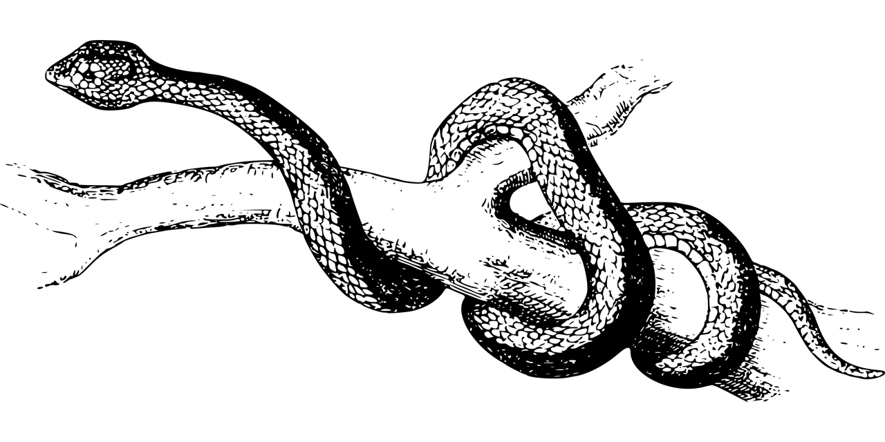 夢(mèng)魘之蛇，蛇咬與反擊的夢(mèng)境解析，夢(mèng)魘之蛇，蛇咬與反擊的夢(mèng)境解析