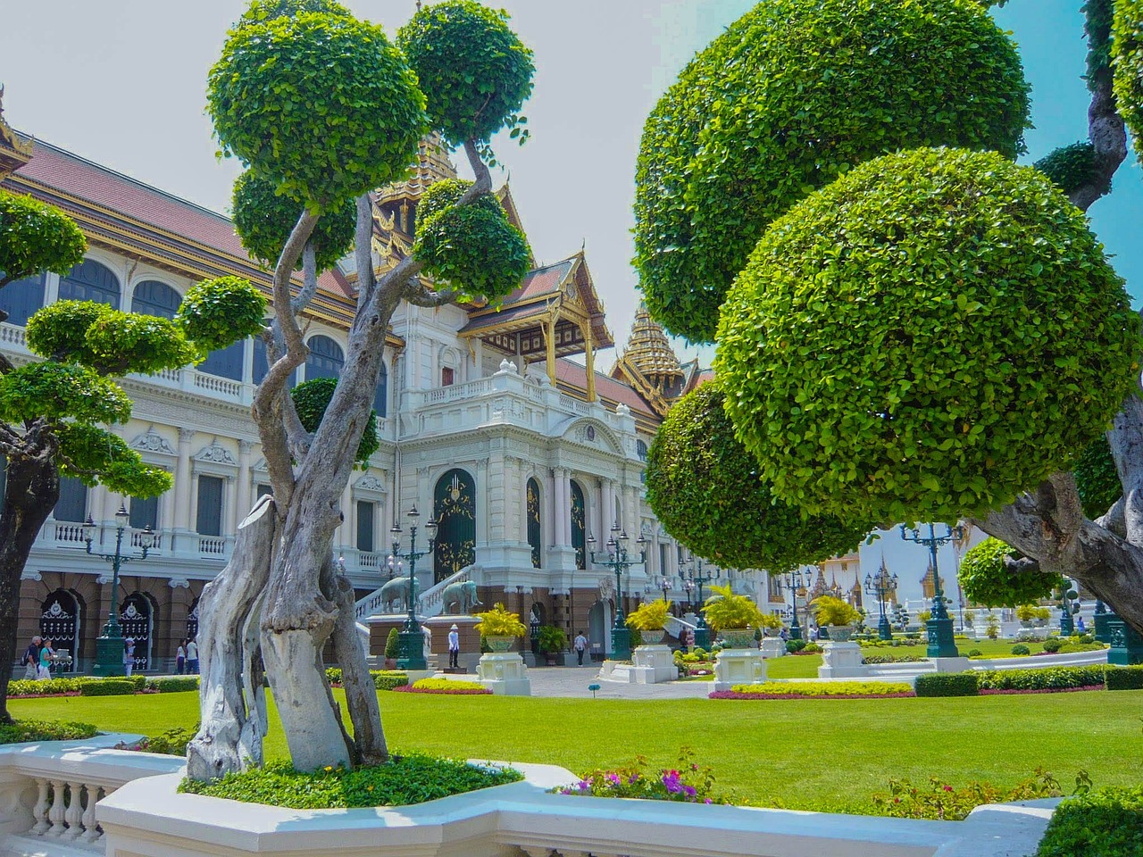 夢(mèng)中的李子樹(shù)，一段心靈的旅程