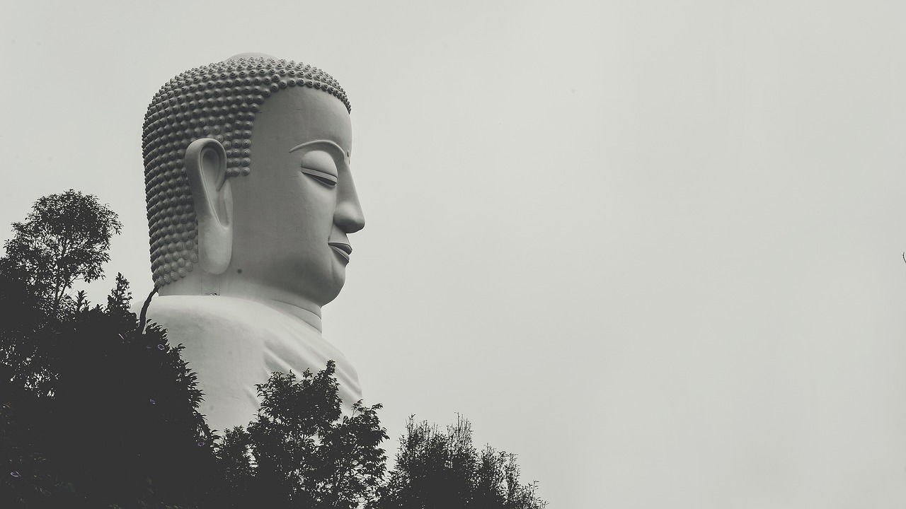 夢(mèng)中之旅，與他人共度的奇妙時(shí)光