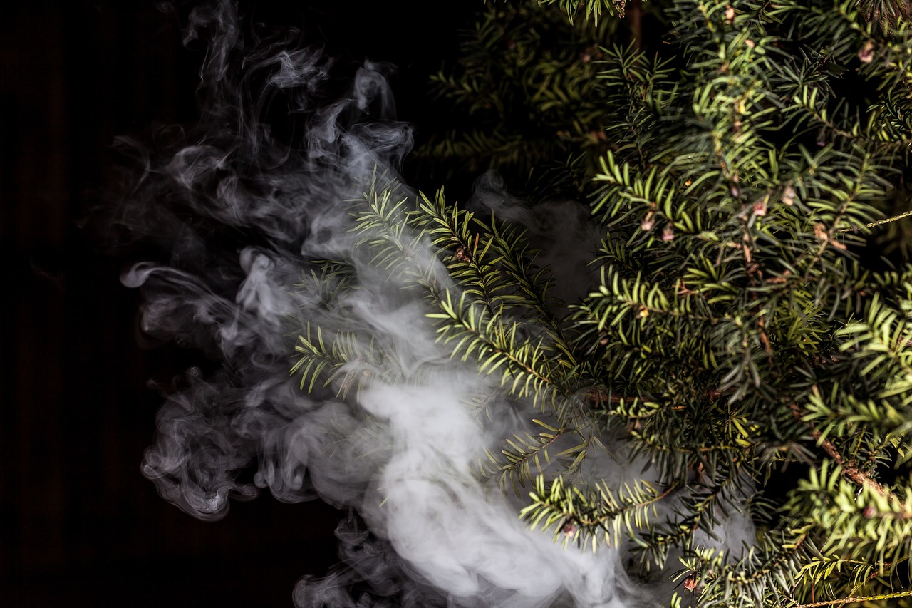 蒸汽朋克風格的植物大戰(zhàn)僵尸，植物刺客，一款無需付費的游戲