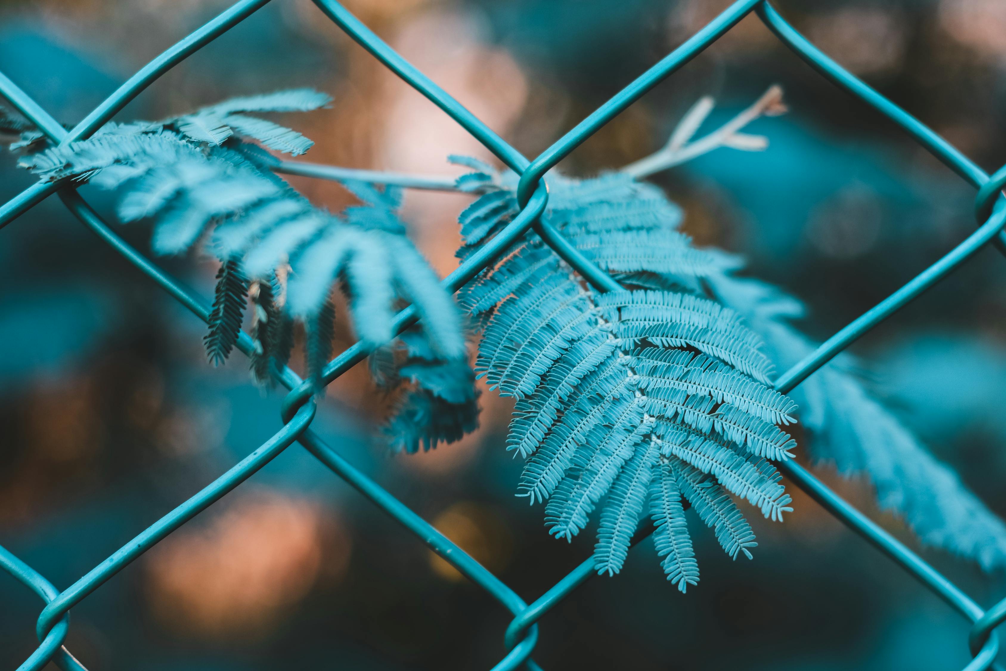 國外網(wǎng)站如何利用谷歌SEO進(jìn)行有效推廣，谷歌SEO攻略，國外網(wǎng)站高效推廣秘籍