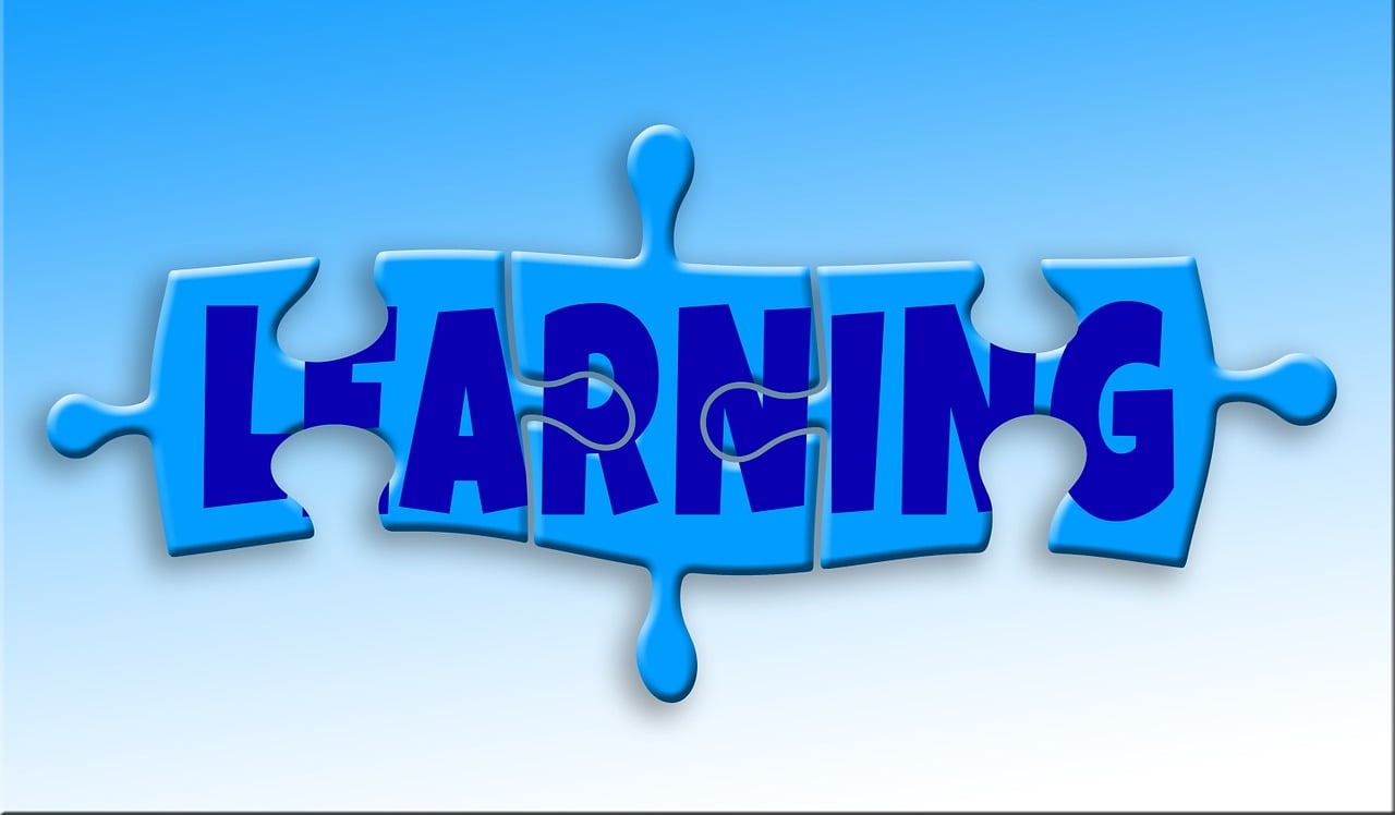 生物數(shù)據(jù)庫(kù)網(wǎng)站搭建，技術(shù)要點(diǎn)與實(shí)戰(zhàn)經(jīng)驗(yàn)分享