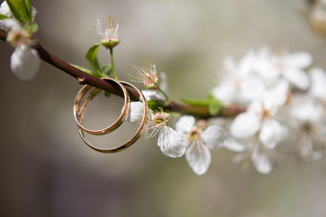 夢(mèng)中之筆，一篇關(guān)于夢(mèng)到文章的探索