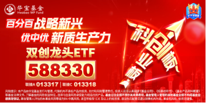 創(chuàng)業(yè)板指領(lǐng)漲！兩市成交額超1.15萬億元，硬科技寬基——雙創(chuàng)龍頭ETF（588330）盤中漲逾3.2%