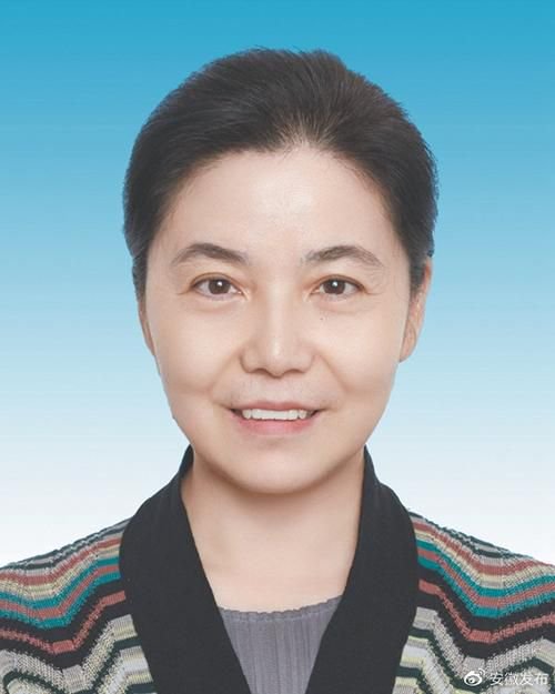 重磅！丁向群出任中國人保黨委書記