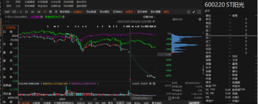 江蘇陽光有非經(jīng)營性資金占用和業(yè)績預(yù)告變臉！