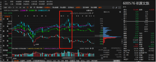 祥源文旅非經(jīng)營(yíng)性資金占用雖已歸還，但仍被出具警示函！
