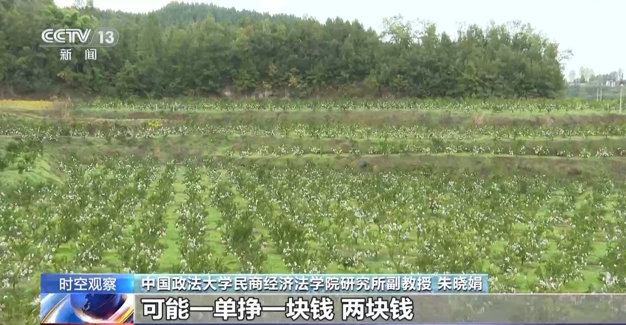 “僅退款”成電商平臺標配 濫用服務(wù)“薅羊毛”可能構(gòu)成犯罪