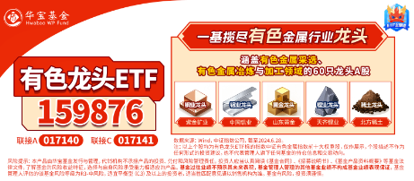 有色蓄勢(shì)高飛！有色龍頭ETF（159876）盤中逆市漲超3%！銅、金、鋁攜手上攻，北方銅業(yè)漲停封板
