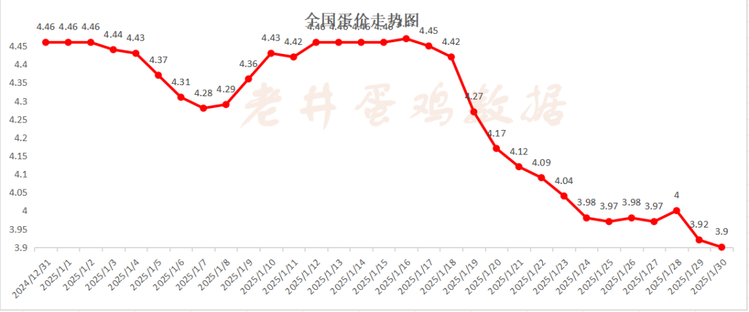 老井扯雞蛋：昨日全國雞蛋均價(jià)、淘汰雞均價(jià)均偏弱！