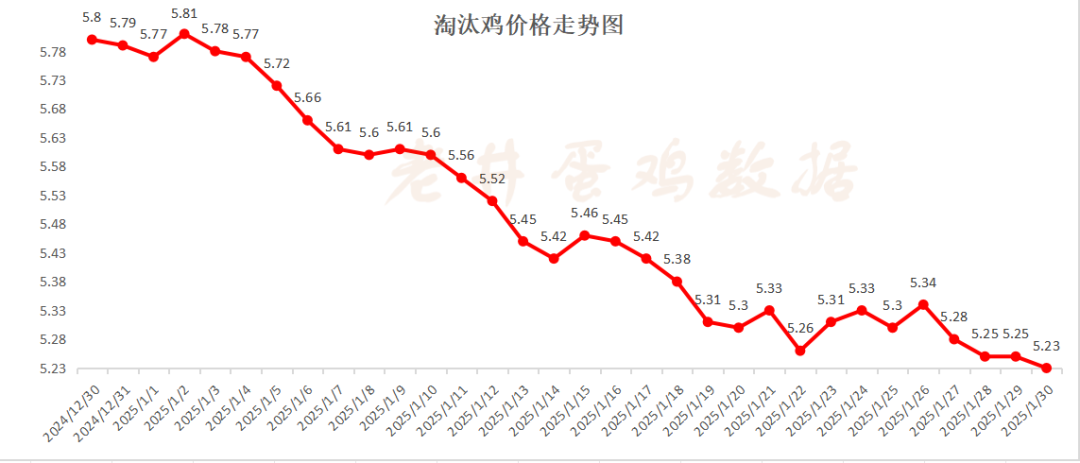 老井扯雞蛋：昨日全國雞蛋均價(jià)、淘汰雞均價(jià)均偏弱！