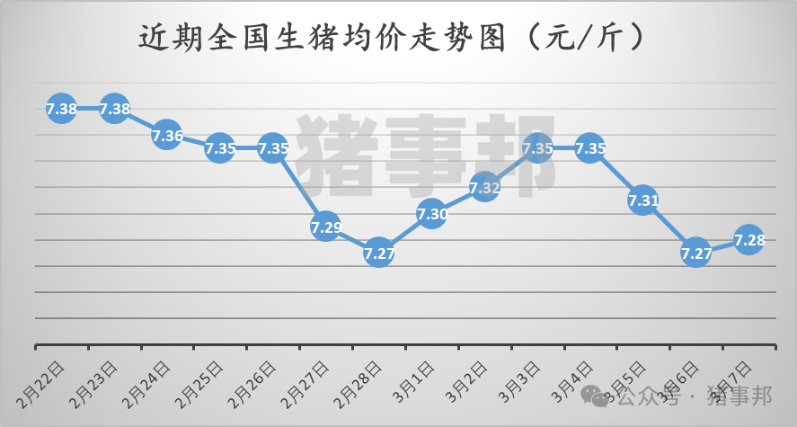 3月7日豬價匯總（北方稍強，南方稍弱?。?></p>
<p><p style=