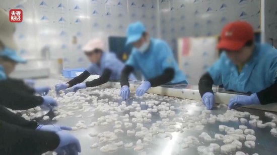 3·15晚會丨“保水蝦仁”，浮出水面！1斤蝦仁7兩冰……