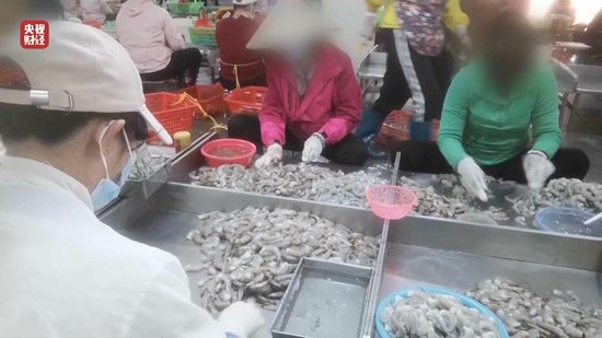 3·15晚會丨“保水蝦仁”，浮出水面！1斤蝦仁7兩冰……