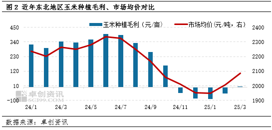 “玉”你同行：一季度東北玉米價格持續(xù)攀升，新季種植面積如何？
